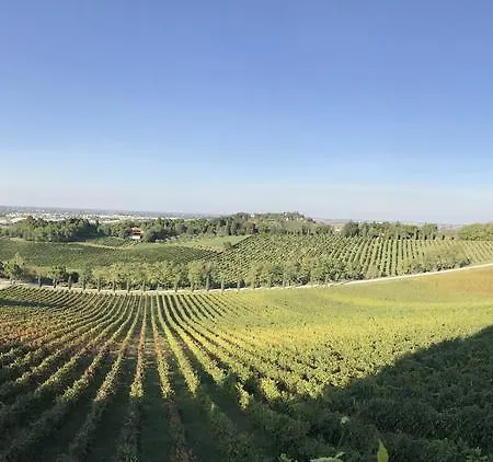 Gospodarstwo agroturystyczne Fattoria Paradiso Bertinoro