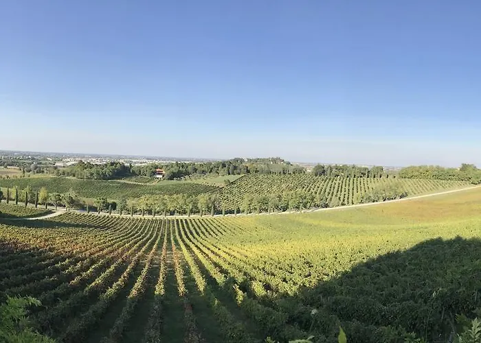 Fattoria Paradiso مزرعة للإقامة بيرتينورو